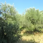 Nuredinaj * Vlorë