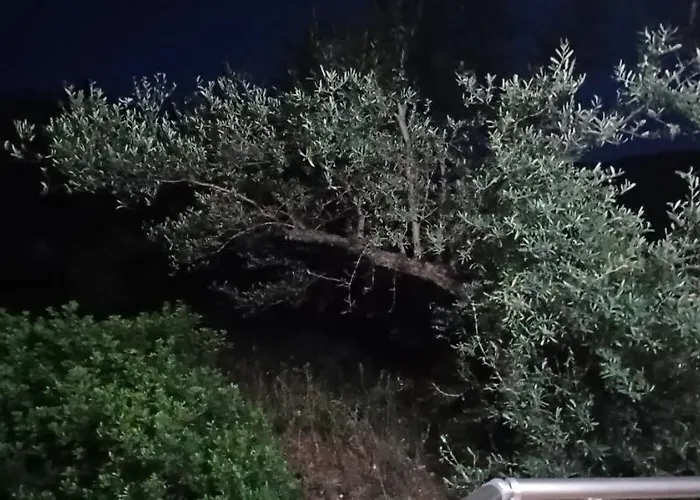 Nuredinaj Appartement *